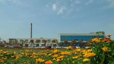 Çin Anhui Yongcheng Electronic and Mechanical Technology Co., Ltd. şirket Profili