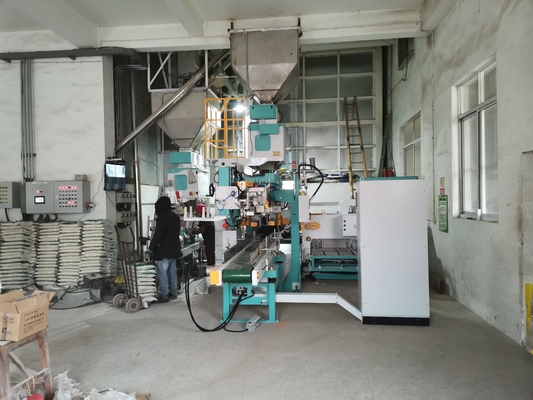 Pirinç Fasulyesi İçin Çift Torbalı Depo Tam Otomatik Paketleme Makinesi 5-25KG