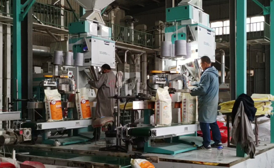 Yüksek Tartımlı Hassas Tahıl Paketleme Makineleri DCS-50FB3+ 5 - 50KG Hızlı Paketleme