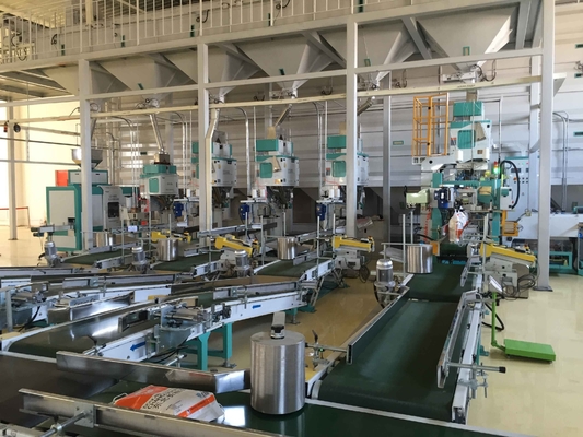 700mm 850mm Yüksek Hızlı Otomatik Torbalama Makinesi Hattı 5kg - 10kg