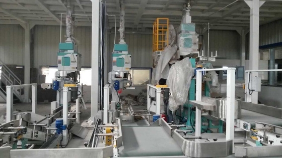 ​ISO9001 Yüksek Hızlı Fasulye Paketleme Makinası 600 Torba / H 10kg